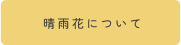 晴雨花について
